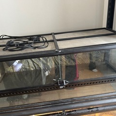グラテラ9030 ライト付