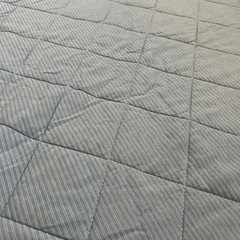 引き取り決定ニトリ敷きパッドの画像