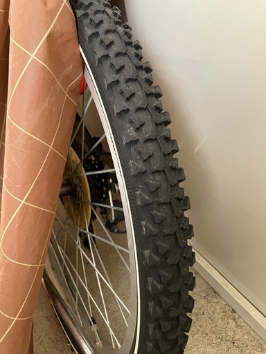 自転車22インチ　子供