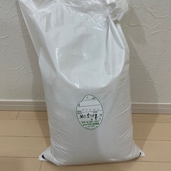 コシヒカリ10キロ