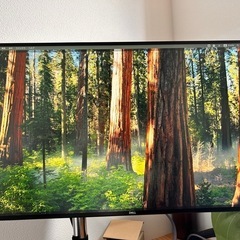 美品　DELL U2720Q＋モニターアームセットの画像