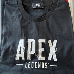 新品M半袖Tシャツ
