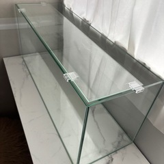 水槽 60cm ガラス
