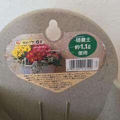鉢の画像