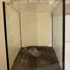 アクアリウム