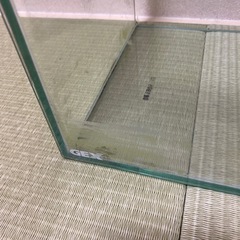 GEX 水槽セットの画像