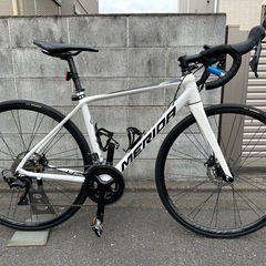 メリダ　スクラトゥーラ 400 2019