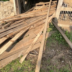 木材、バーベキュー、焚火用