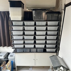 爬虫類　ボールパイソン　スネークラック