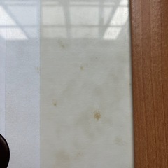 ミッキーミニー オランダ製の画像