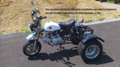 カスタム    トライク