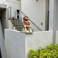 漆喰シーサ小の画像