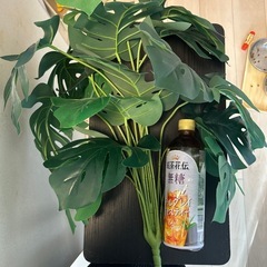 （お話し中）モンステラ【造花】の画像