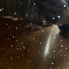 卓天板　4/20までの画像