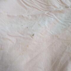 シングル　掛け布団カバー　シーツ　の画像