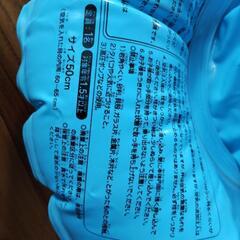 カ－ズ足入れ浮き輪の画像