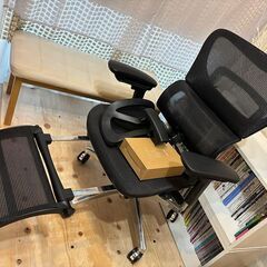 Cofo Chair premium（ブラック）※早期終了の可能性あり (はるり