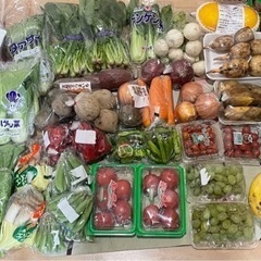 野菜など　100円〜