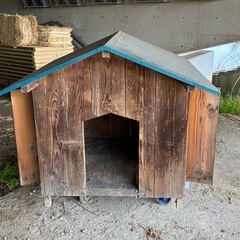 犬小屋，犬舎の画像
