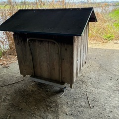 犬小屋，犬舎の画像