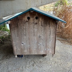 犬小屋，犬舎の画像
