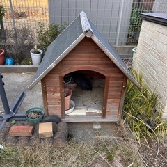 犬小屋