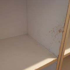 2段カラーボックス　ホワイトの画像