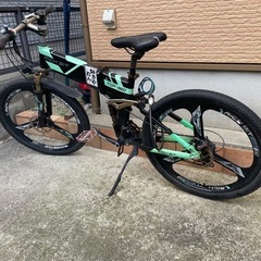 電動　マウンテン　自転車