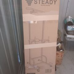 STEADY懸垂機