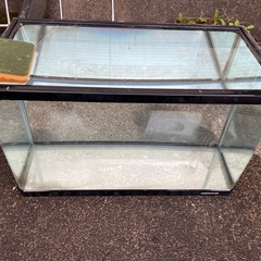 ニッソー　60センチ水槽