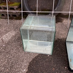 25センチ　キューブ水槽　コトブキ