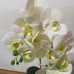 造花　胡蝶蘭の画像