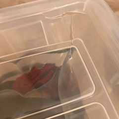 コロつき衣装ケース 3台ありの画像