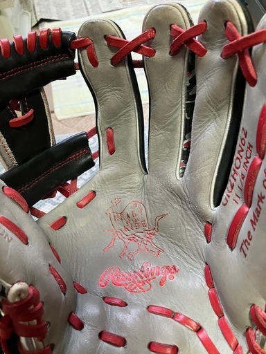 ローリングス　グローブHOH限定グローブ　　