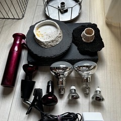 爬虫類用品　その他　バラ売り　
