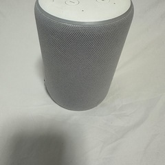 ⭐️最安値⭐️ECHO PLUS ホワイト（訳アリ:記載あり）
