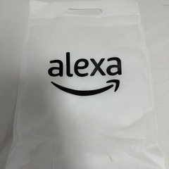 ⭐️最安値⭐️ECHO PLUS ホワイト（訳アリ:記載あり）の画像