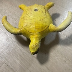 カメさんの画像