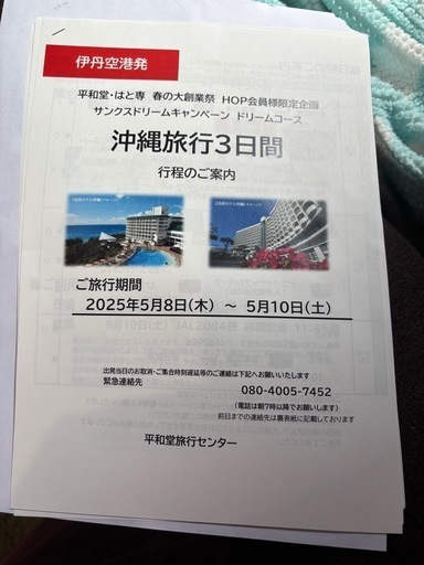 格安沖縄旅行　ペア　貸切バスツアー　伊丹空港発