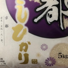 お値下げ【新米】京都こしひかり5キロ◆京都丹波◆白米　5kgの画像