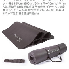 ヨガマット+ぶら下がり健康器具