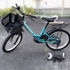 ブリヂストン　16インチ　キッズサイクル　エコキッズ