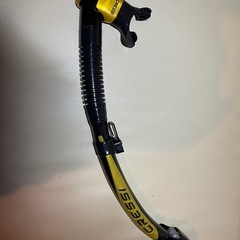 スノーケリング　クレッシーの画像