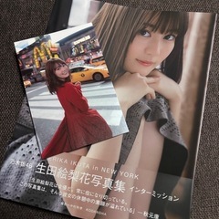 生田絵梨花写真集の画像