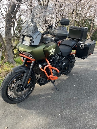 来週まで140万 Pan America 1250 Special（パン・アメリカ1250