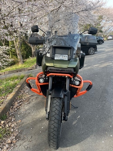 来週まで140万 Pan America 1250 Special（パン・アメリカ1250スペシャル特別仕様車「G.I. Enthusiast Collection」