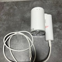スチームアイロンの画像