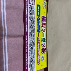 【期間限定】スタジオマリオ　撮影クーポン券　8800円分