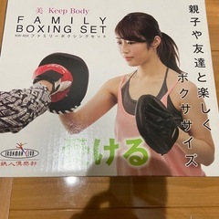 パンチングボールの画像