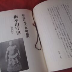 探訪　栃木の名力士　下野新聞刊の画像